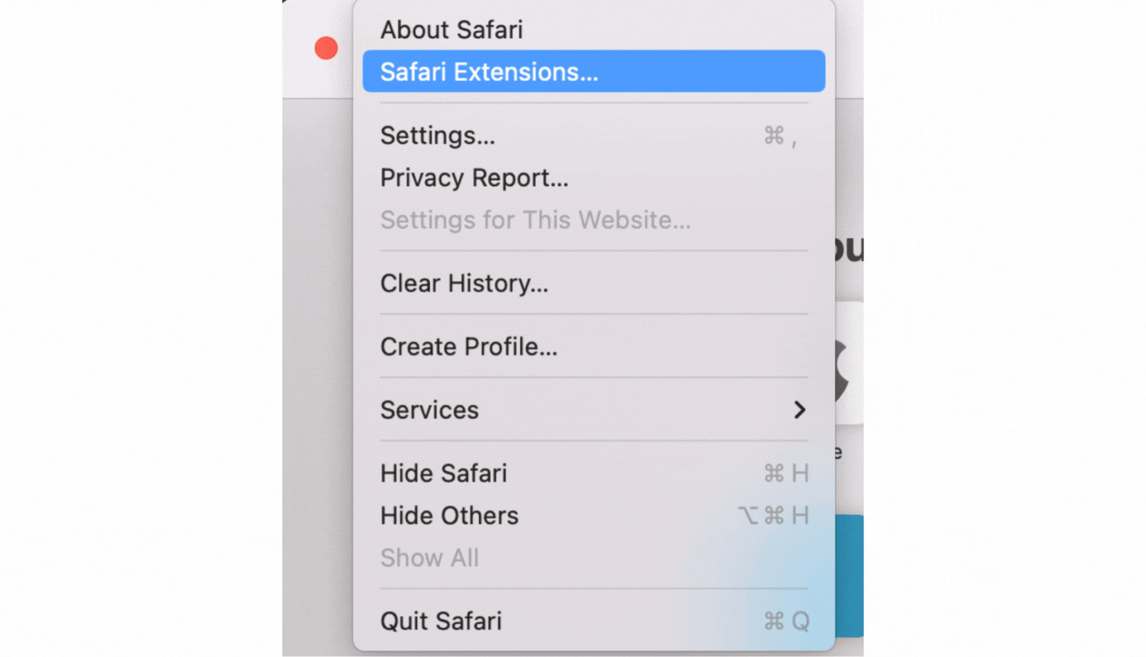 _Safari Extension - How to Install Safari Extension - 19th March 2024.gif