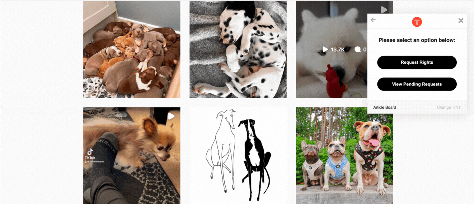 Chrome_Extension_IG_13.07.22__1_.gif